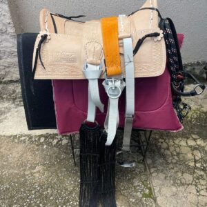 Arreio Pantaneiro São José Completo 13 Peças Couro - Imagem 2