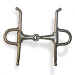 ref-36-bridao-high